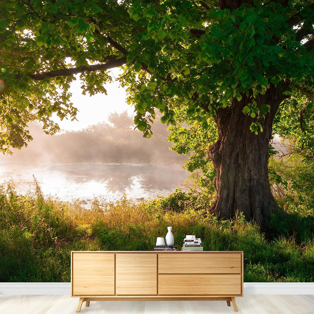 Oak Tree in Full Leaf in Summer Wall Mural IDEA4WALL 