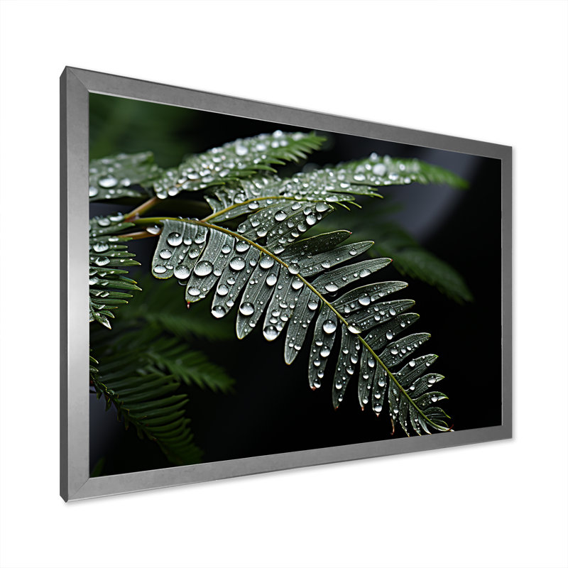 «Ferns Charm in Winter», reproduction sur toile, H 30 po x l 40 po x P 1,5 po, Cadre simple argenté