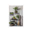 Febe 40cm W Metal Wall Shelf