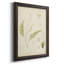 Toile encadrée de qualité supérieure Fern Study IV - prête à être accrochée-1316841605