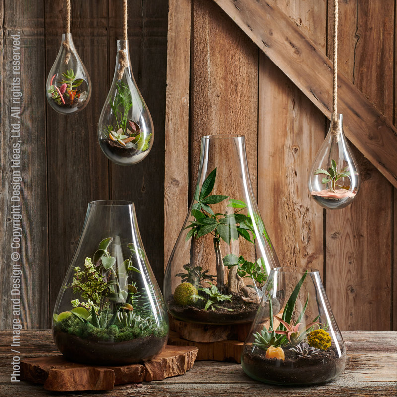 Handmade Glass Terrarium