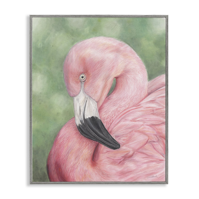 «Blush Flamingo Visage», estampe numérique par Connie Resch, Estampe numérique Farmhouse, H 14 po x l 11 po