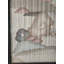 Tapis chinois antique - Textile