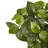 Pothos Artificial Plant
