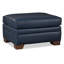 Vidonia Ottoman-661887983