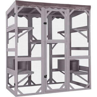 Enceinte d'extérieur pour chat Catio