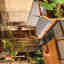 Photos des clients 1 de 1