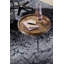 Aldona Coffee Table