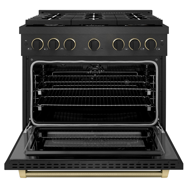 ZLINE Designer 36 in. Paramount Dual Fuel Range in Black Satin Steel with Black and Bronze Accents