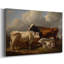 Animaux, série de paysages-1352651874