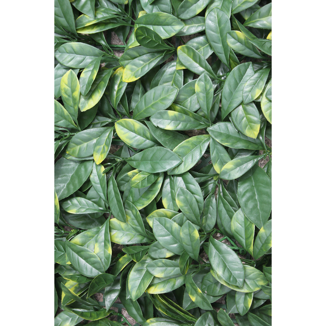 Annalicia 100cm Artificial Hedge