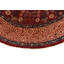 Aryana Wool Oriental Area Rug