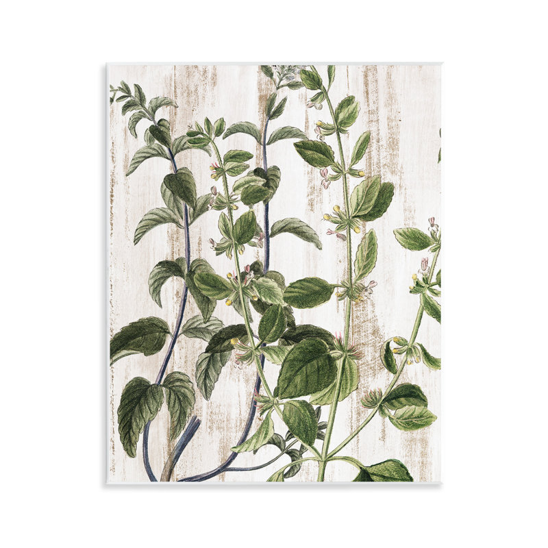 "Rustic Botanical Vines", art mural par Kim Allen