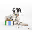 Dog Bowl, Adventure Stripe-118725871-118725870-118725864