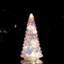 Arbre de Noël en verre coloré - Décoration de Noël de table avec minuterie pour la présentation de Noël-789988686
