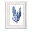 « algues under water iv »-cadre photo imprimé sur verre-302776087-302776093