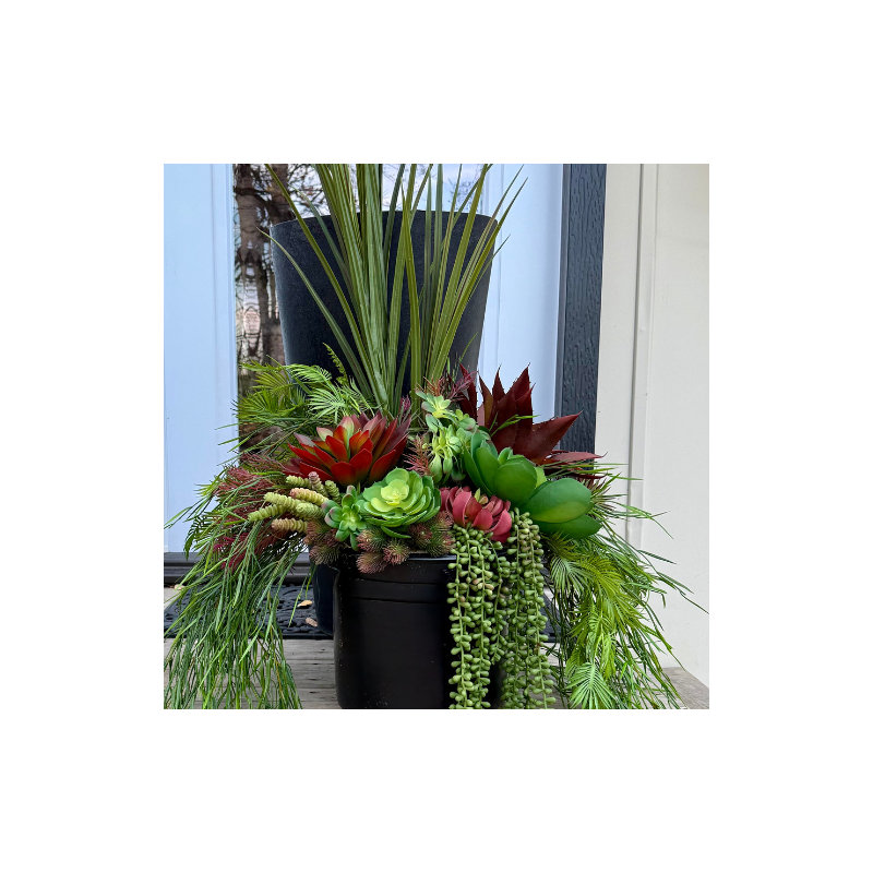 Pots de fleurs rouges succulents
