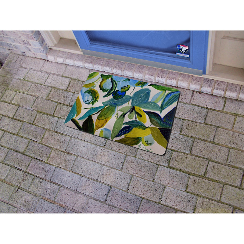 Mat1158 Non-Slip Doormat