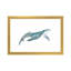 Art de baleine-49795521-49795520
