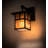 Youngblood Wall Light