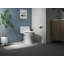 Lithe Quiet-Close Elongated Toilet Seat