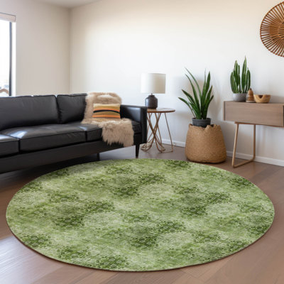 Premium Machine Washable Cerrito AMF557 Olive Rug