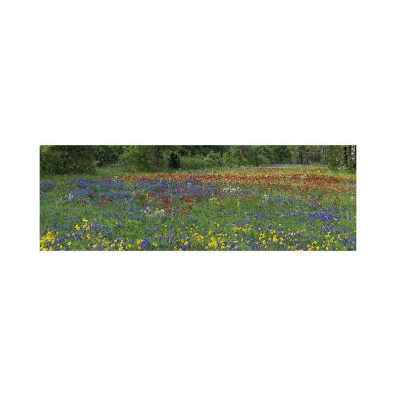 Sand Bluebonnet, Drummond's Phlox And Tickseed, Fort Parker State Park by Tim Fitzharris - Wrapped Canvas Panoramic Print