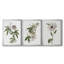 Tropical Botanical I - Toile tendue avec châssis sur mesure - 3 pièces-174538418-174538416