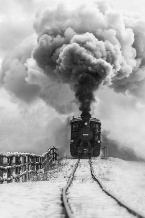 Wrapped Canvas Print, 50.8 cm H x 76.2 cm W