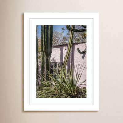 Daisey "Plants on Pink" Print