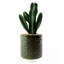 23cm Faux Plant in Ceramic Pot