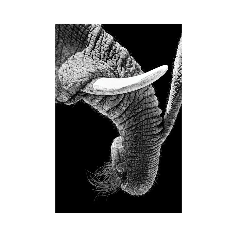 African Elephant Family Bonding by Susan Richey - Gallery-Wrapped Canvas Giclée on Canvas, Canvas, 20.32 cm H x 30.48 cm W