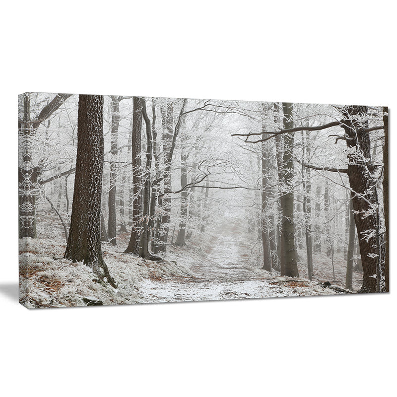Forest Trail on Winter Morning - Reproduction de photo sur toile tendue, H 16 po x l 32 po x P 1 po
