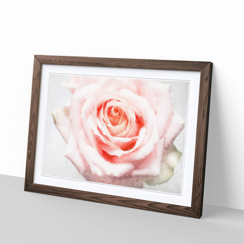 Pale Pink Rose - Picture Frame Graphic Art Print, 62cm H x 87cm W x 2cm D, Walnut