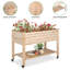 Jaydus Wood Elevated Planter