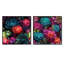 Bourrache - Ensemble de 2 collages botaniques carrés-101845606-101845600