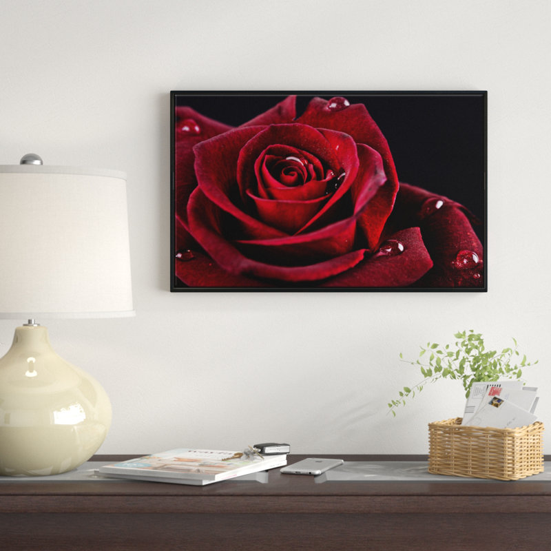 «Red Rose with Raindrops on Black», reproduction d'impression sur toile tendue, H 12 po x l 20 po x P 1 po