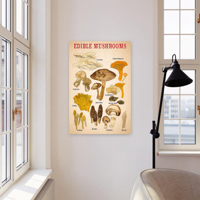 Champignons comestibles - impression sur toile tendue