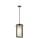 Colfax 1 -Bulb 18.8" H Mains only Outdoor Hanging Lantern