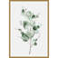 "Tender Sprout I" par Eva watts, reproduction d’art sur toile tendue-1135809851