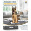 Orthopedic Polyester Pet Bed-109946695