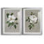 Magnolia botanique - ensemble de 2 reproductions d'art-512224786-512224790-512224798