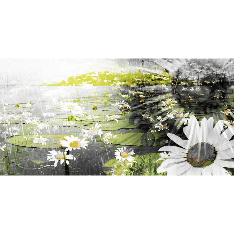 "float marguerites" par parvez taj,, reproduction d’art sur toile tendue, H 18 po x l 36 po x P 1,5 po