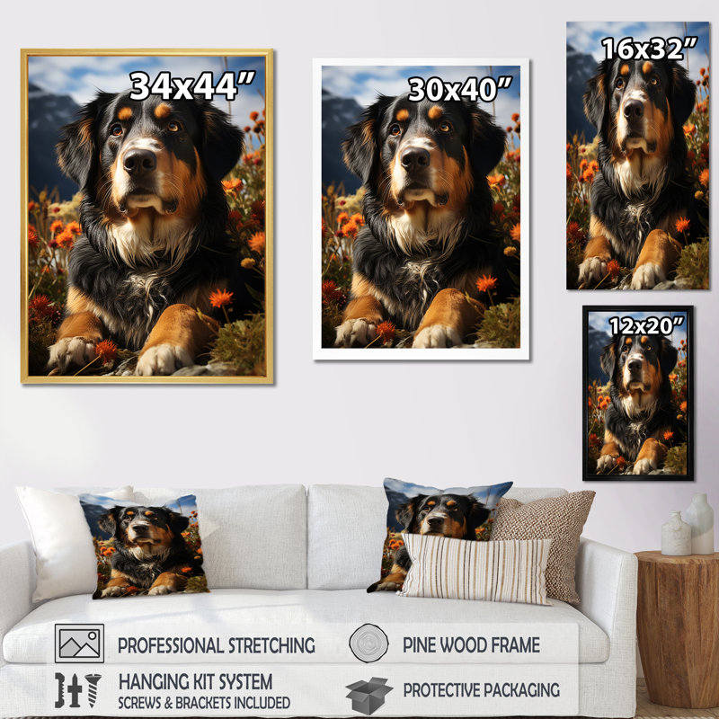 " Bernese Mountain Majesty V " Print, Gold Floater Framed, 44" H x 34" W