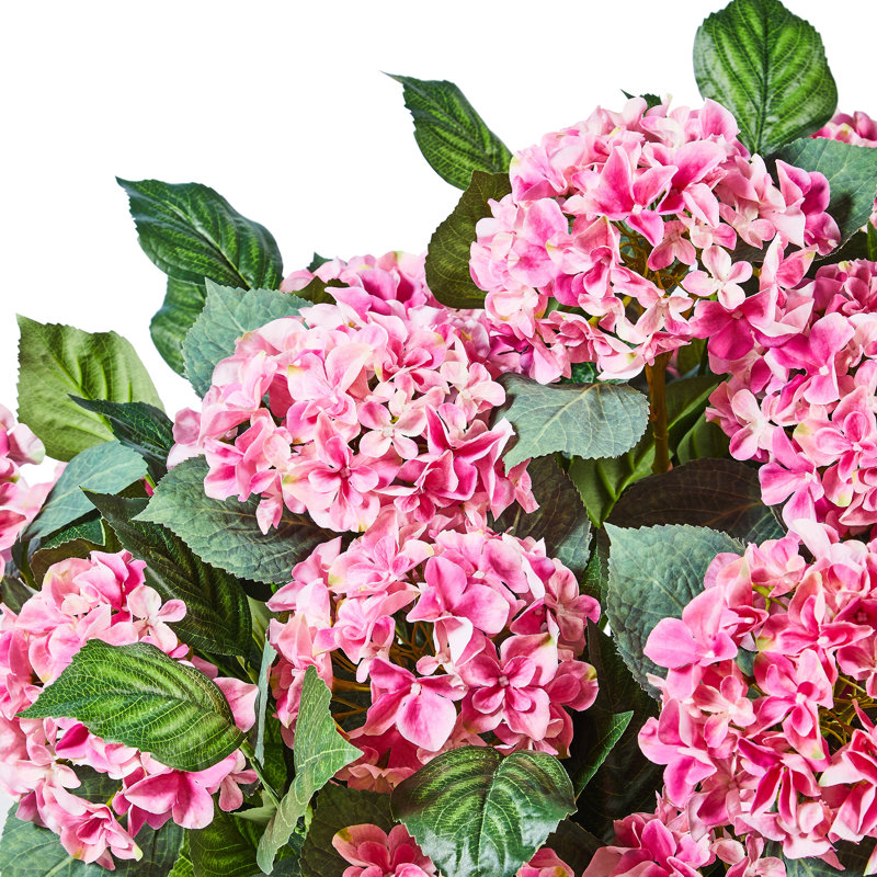 Hydrangea Urn Filler, Pink