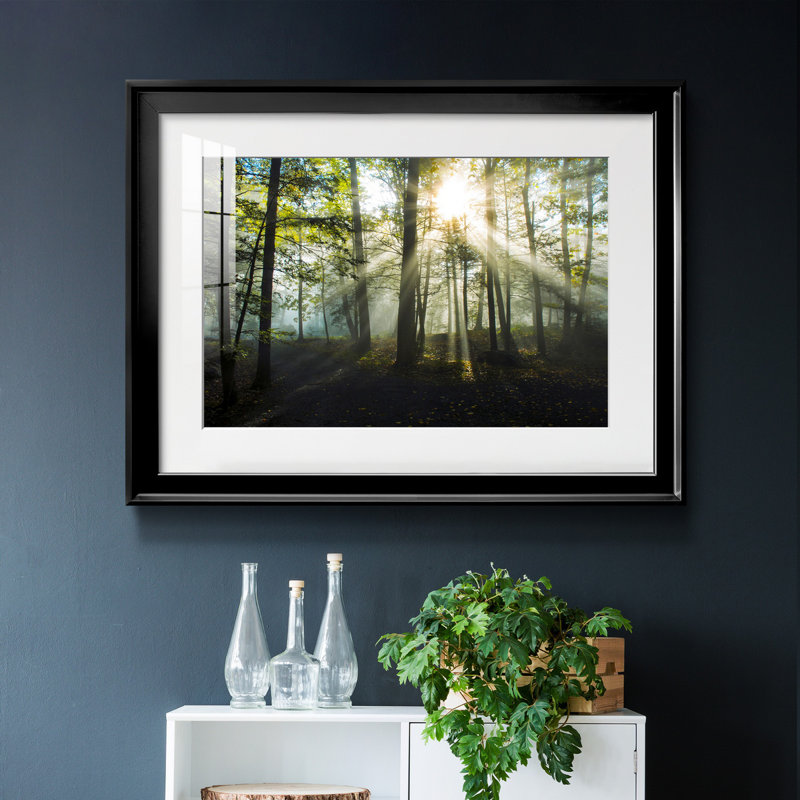 Light and Trees - Photographie avec cadre photo, Cadre noir, H 22,5 po x l 30,5 po x P 1,5 po