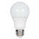 60 Watt Equivalent A19 E26/Medium (Standard) LED Bulb