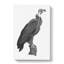 Vulture Illustration - Wrapped Canvas Drawing - Wrapped Canvas-55301796