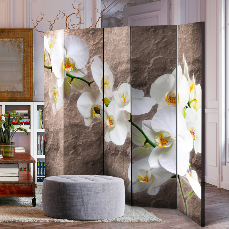 Omalley Solid Wood Folding Room Divider, 5