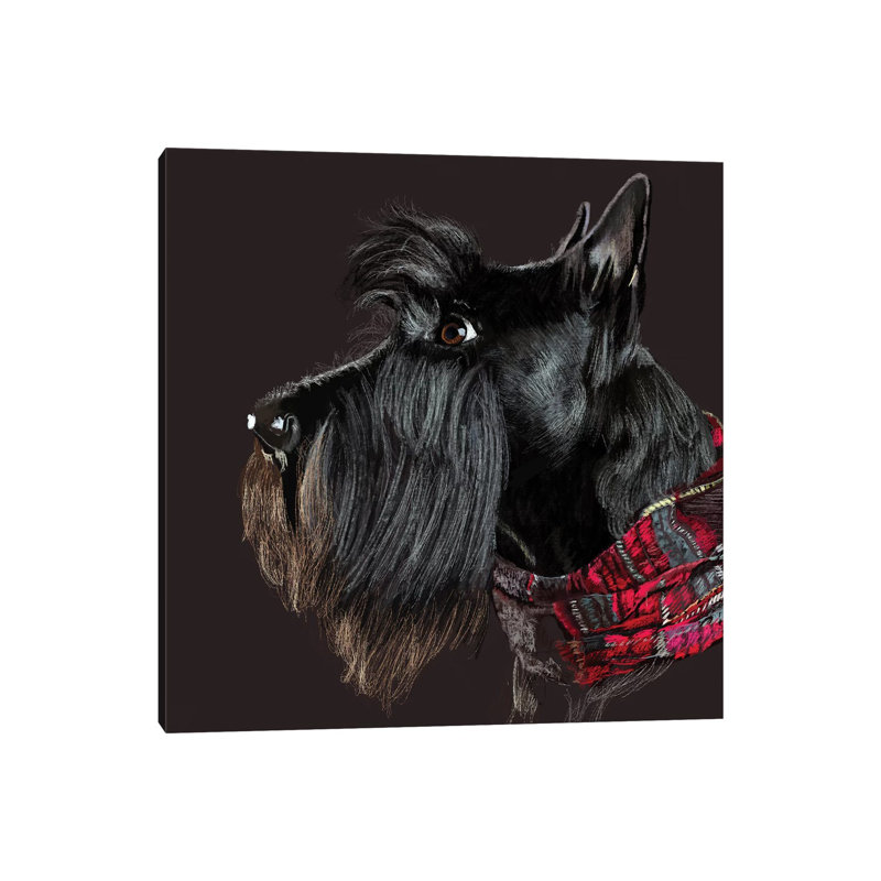 Scottie In Scarf by Vicki Newton - Wrapped Canvas Print, 30.48cm H  x  30.48cm W x 1.91cm D